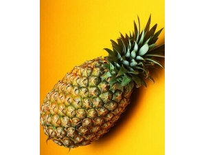 ����֮�� �ļ������˳�ʲôˮ����