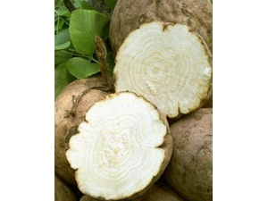 ����ӻ������� ���ʳ��Ԥ��Ů�Ը�������ǰ