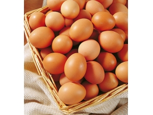 ɢ�Ƶ����ܳ� ǧ������6�ּ���