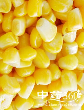 中医养生保健,中医养生保健秘方