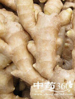 ��ҽ��������,��ҽ���������ط�