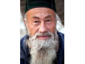 �������γ�ԭ�� ������Ӧ���Ԥ��������