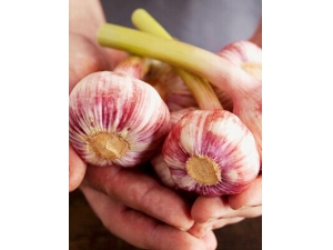 ��ǻ��������Ʒ��� ���ƿ�ǻ�����ƫ��