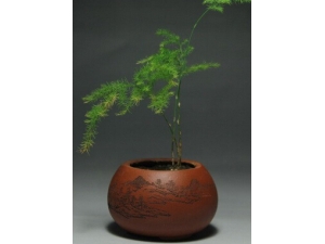 ��������� ����Ĺ�Ч������