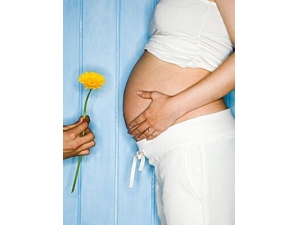 ���̥�� ��ξܾ�����̥�̹���