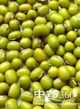 ��ʲô����Ѫ,5��ʳ�����Ů�˲���Ѫ