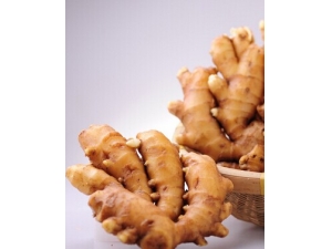 ʲô˥ 󡰸֡ Ů˿˥