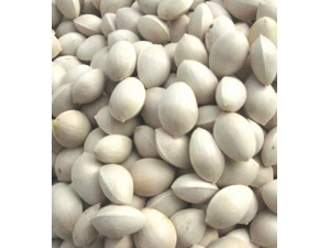 ������������ ������������ֳ������ˮ��