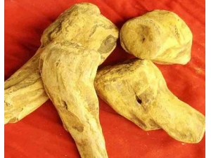 ��ƵĽ��� �������ڲ����ڼ���