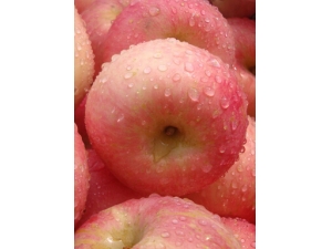 ����Ȧ��ôȥ�� ȥ������Ȧ�ķ���