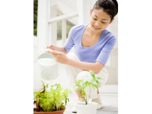 ��������ô�� Ů�������ڵļ��㷽��