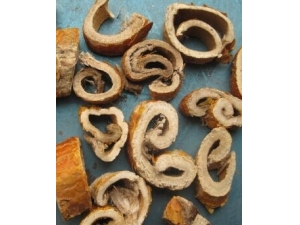 �����׷���ڷ� �ڷ�ת�׷������ƫ��