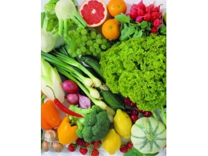 Ӥ������ Ӥ��ι������8�гԳ�����������