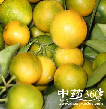 ȱתøƫ,ȱתøƫ߳ˮҪע