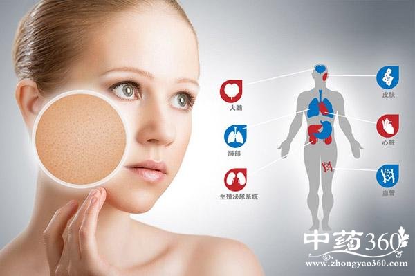 �����������˺����Ǽ���