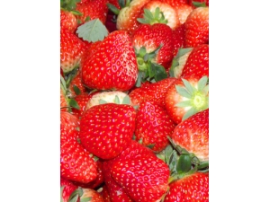 ����ȥ���� ȥ�����Ƶ��Ĵ󷨱�