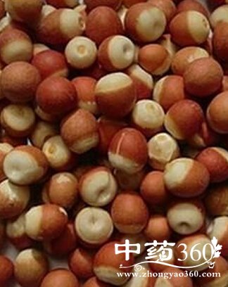 ʪô,ʪؽƢʪʳ<a href='https://www.zhongyao360.com/z/qianshi/' target='_blank'>ʵ</a>