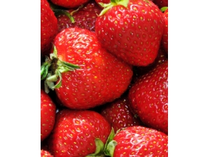 ��ʲô�������� 3��2�˳Գ�ѩ�׼���