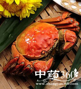 иԳԴբз,＾ԴբзĽ