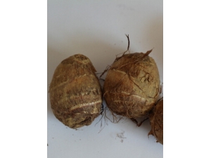 ��ͷ��Ӫ����ֵ ��ͷ�Ĺ�Ч������