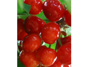 Ů���������� ����ˮ������Խ��Խ����