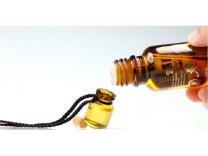 жױ����ô�� жױ�͵���ȷ����