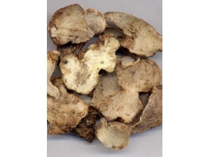 Ⱦ������ ��ҩ��ȫȾ�����ط�