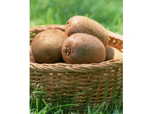 ��ʲôˮ���������� 5��ˮ���ɱ���������