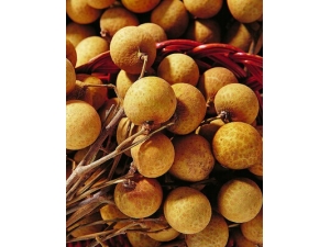 ������ʲôԭ�� Ů�Զ�������ĵ�������