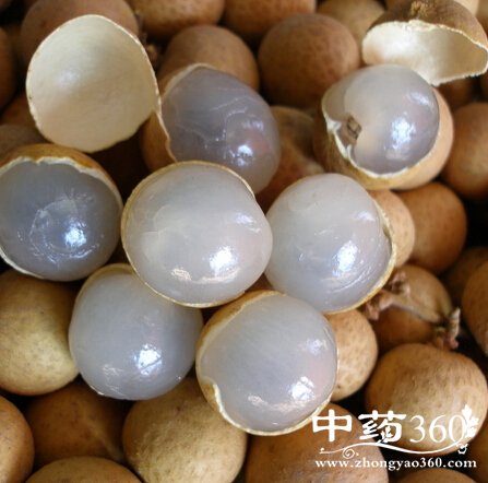 贫血吃什么好,贫血体质必吃五款经典补血膏方