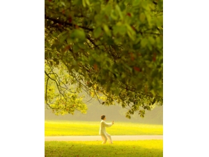 �＾���� �������＾�����С����¡�