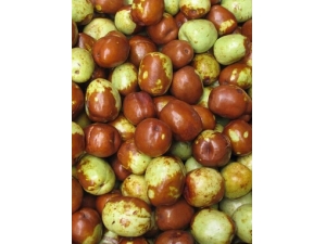 ��ʲô��˥�� 5��ά�������������ഺ