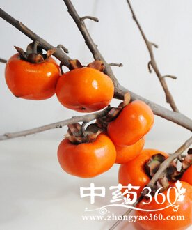 白露养生,秋季10大食物助你瘦身清热