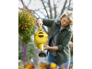 �и�ע������ ������������������ؾ�