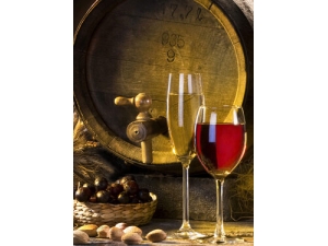 �������� ���˶���������ע������