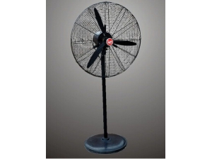 �������� �������ļ���������Щ��������