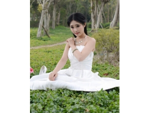 ����������ԭ�� ��������������������ԭ��