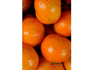 �Ⱦ�ǰ��ʲô�������� �����ǰ׼��������