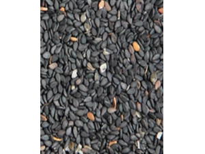 ��ʲô�������� 5������ʳ������Խ��Խ��