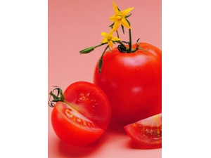 ������ʳ ����������8��ƽ�ʳ��