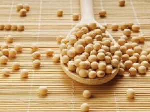 ������Լ�����Ư�� ȥ���������ʳ�Ʒ�