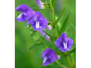 ��ǻ������ô�� ��ҽ�ο�ǻ�������ط�