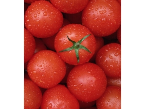 ��ʲô��� Ů�˳�ʲôˮ��������ߣ�