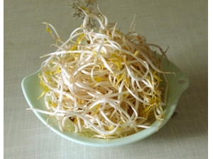 �������� ��Щʳ�ﲹ���������������