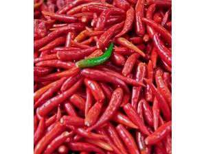 ����ҩ���ܳ�ʲô ����ҩ�Ľ���