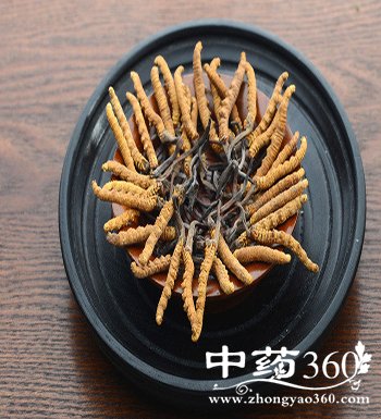 Ĳݵı淽 Ĳݷù˻ܳ