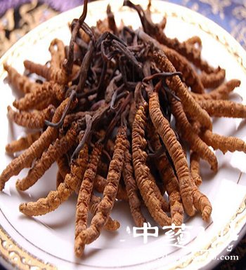 Ĳݵı淽 Ĳݷù˻ܳ