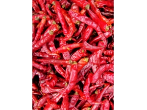 �����Ա��� ���������Ա��׵���ʳ��ע��