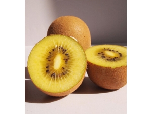 ȸ����ôȥ�� �����п���ȥ��ȸ��