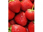 草莓的营养价值 草莓的功效与作用